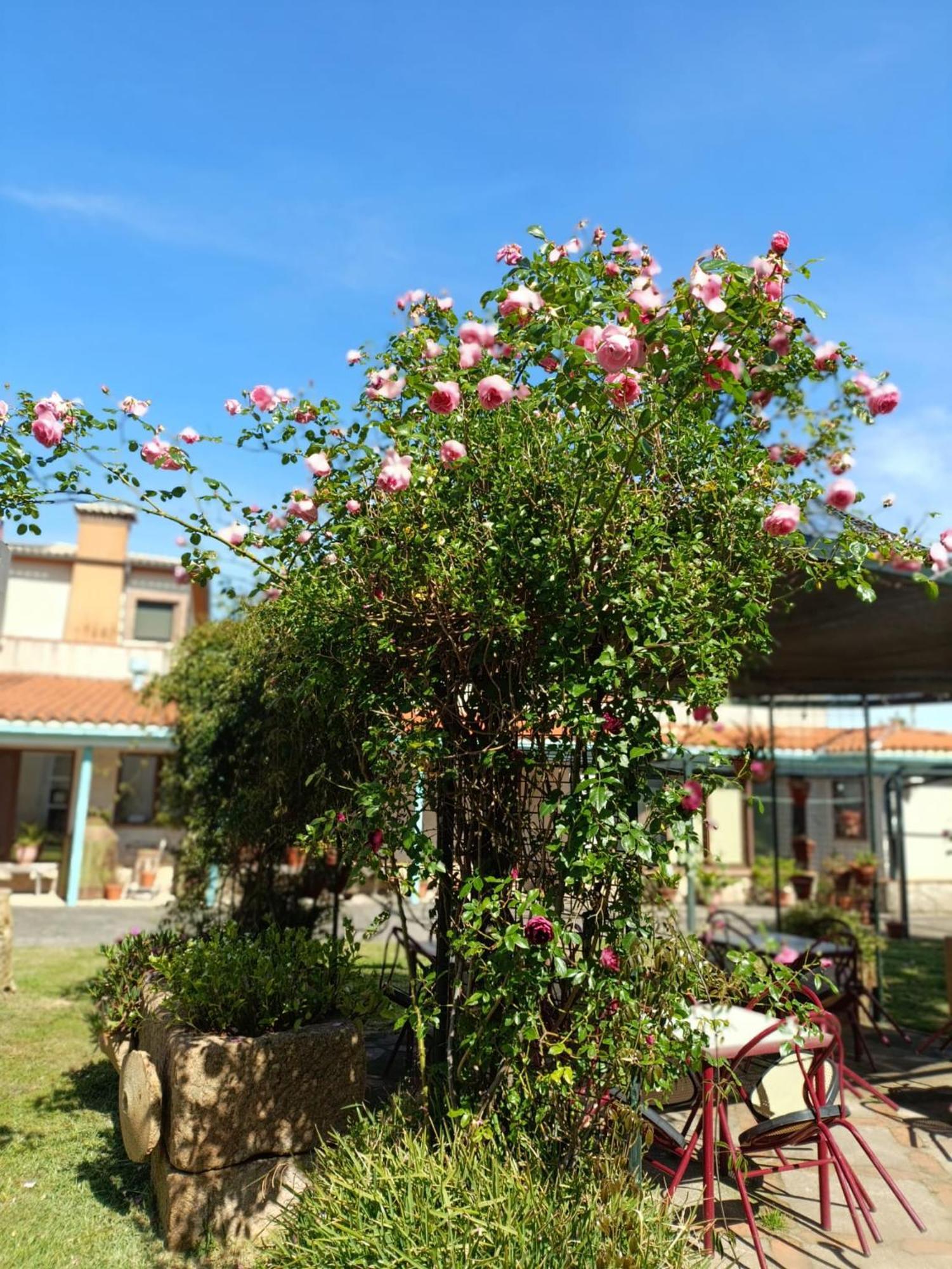 Appartement Del Corral
